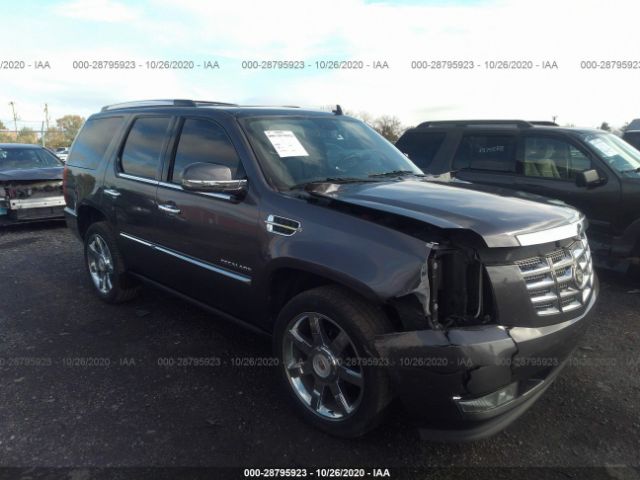 CADILLAC ESCALADE 2010 1gyukcef8ar288609