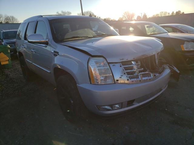 CADILLAC ESCALADE P 2010 1gyukcef8ar289159