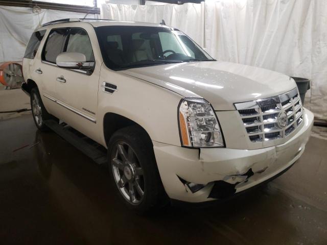 CADILLAC ESCALADE P 2010 1gyukcef9ar148021