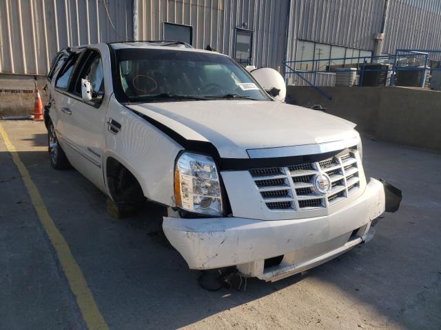 CADILLAC ESCALADE P 2010 1gyukcef9ar177793