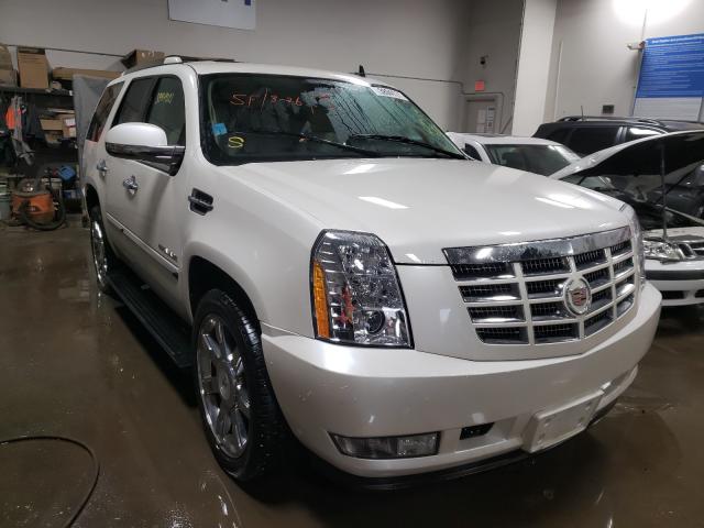 CADILLAC ESCALADE P 2010 1gyukcef9ar229763