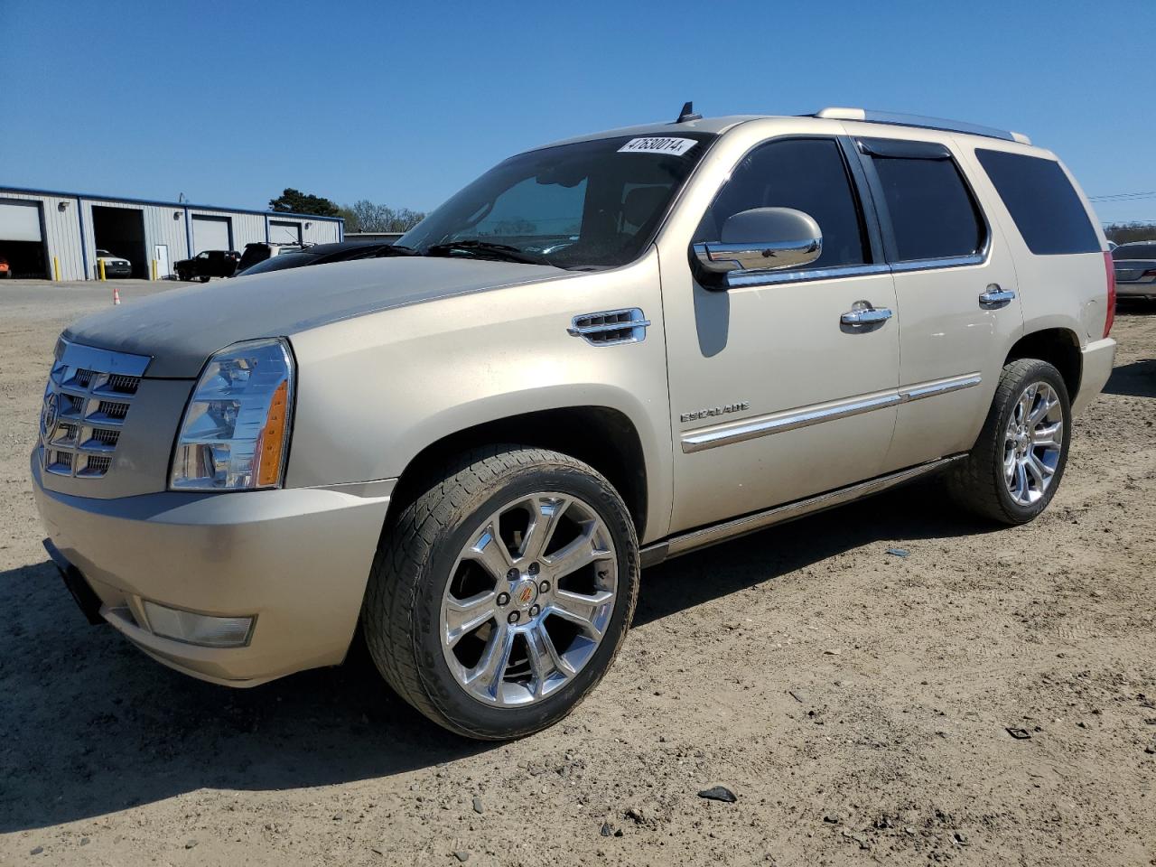 CADILLAC ESCALADE 2010 1gyukcef9ar264626