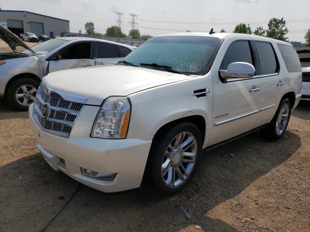 CADILLAC ESCALADE P 2010 1gyukdef2ar149324