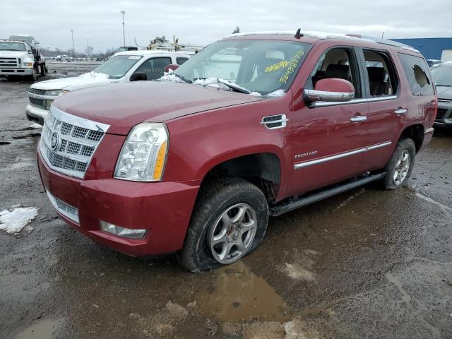 CADILLAC ESCALADE P 2010 1gyukdef3ar118759