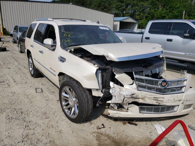 CADILLAC ESCALADE P 2010 1gyukdef3ar123024