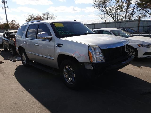 CADILLAC ESCALADE P 2010 1gyukdef3ar179321