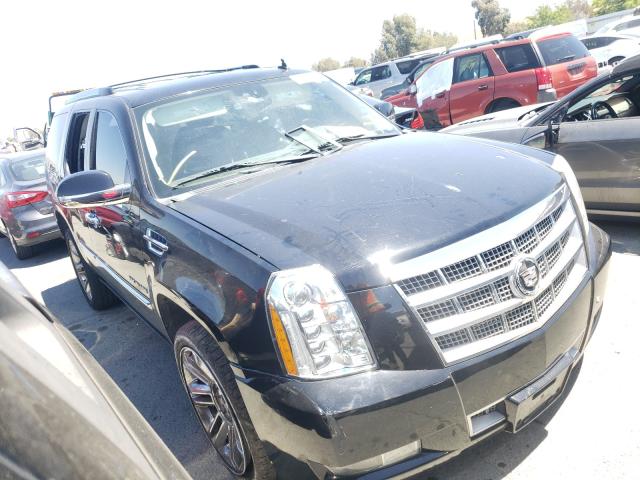 CADILLAC ESCALADE P 2010 1gyukdef6ar156356