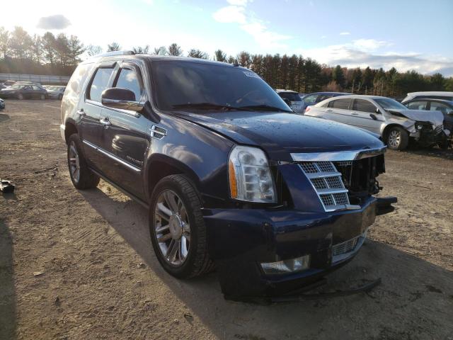 CADILLAC ESCALADE P 2010 1gyukdef8ar158447