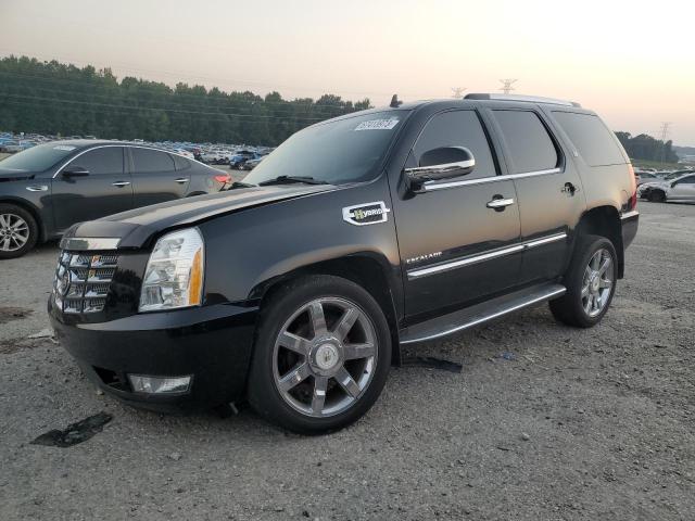 CADILLAC ESCALADE H 2010 1gyukeej6ar213665