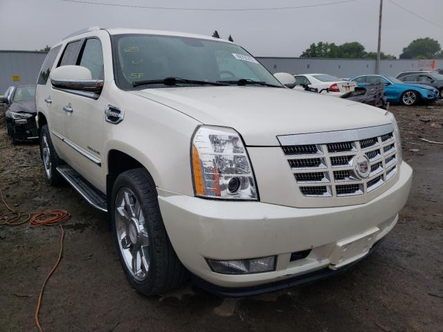 CADILLAC ESCALADE H 2010 1gyukeej7ar158739