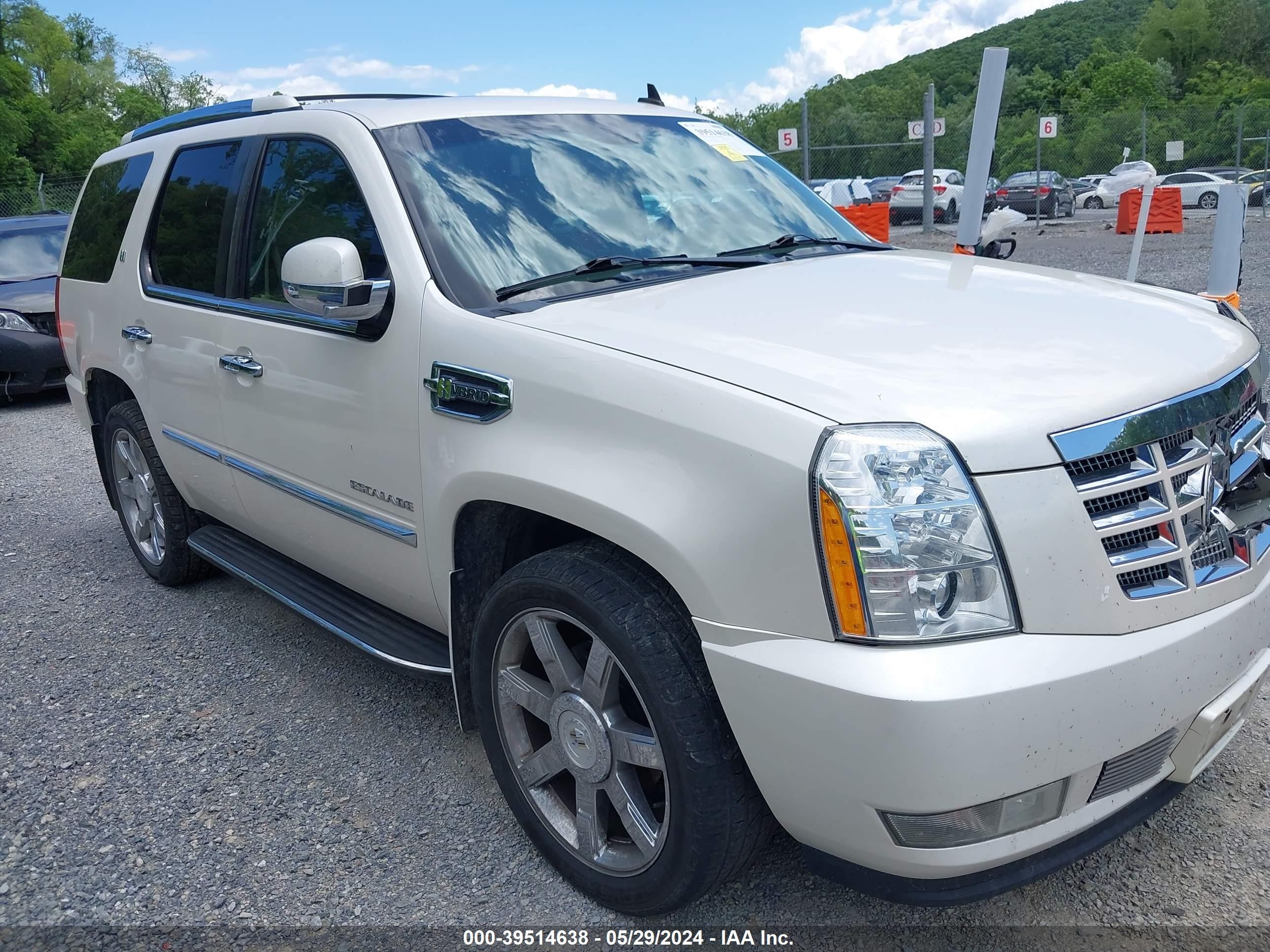 CADILLAC ESCALADE 2010 1gyukeej9ar181651