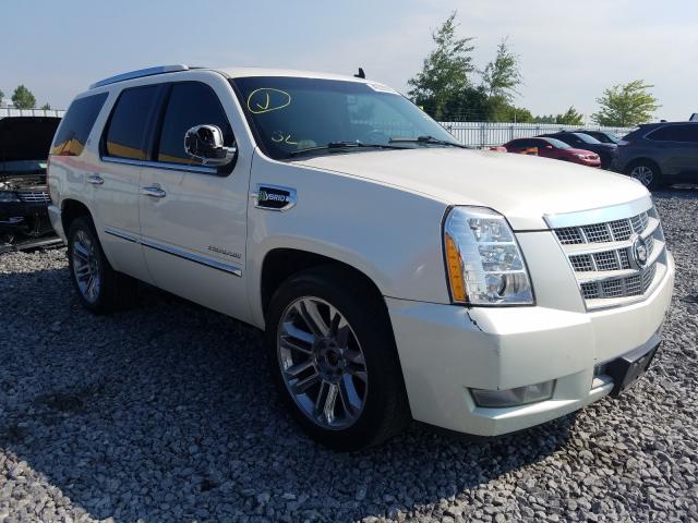 CADILLAC ESCALADE P 2010 1gyukfej1ar159956