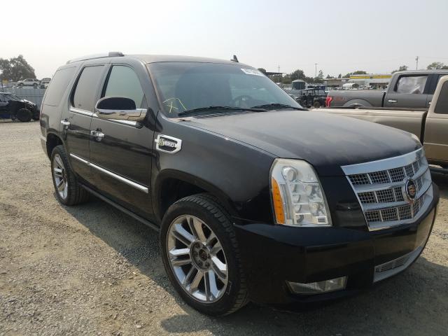 CADILLAC ESCALADE P 2010 1gyukfej2ar159237