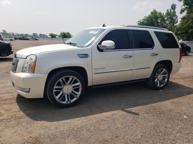 CADILLAC ESCALADE P 2010 1gyukfej4ar178954