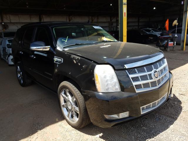 CADILLAC ESCALADE P 2010 1gyukfej8ar197488