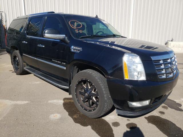 CADILLAC ESCALADE E 2010 1gyukgef9ar231648