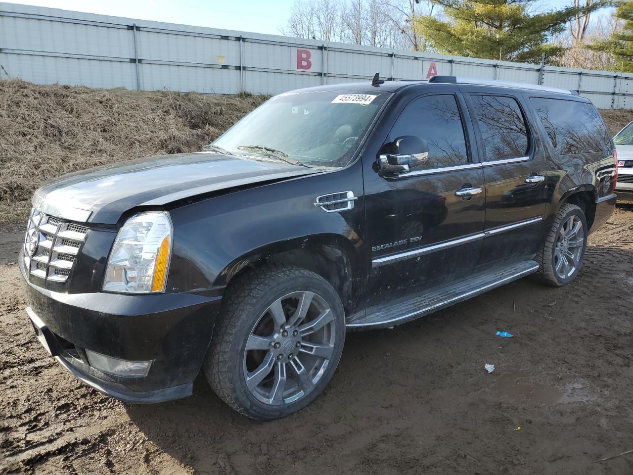 CADILLAC ESCALADE 2010 1gyukhef0ar156330