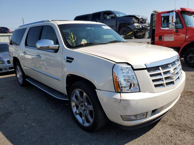 CADILLAC ESCALADE E 2010 1gyukhef1ar183052