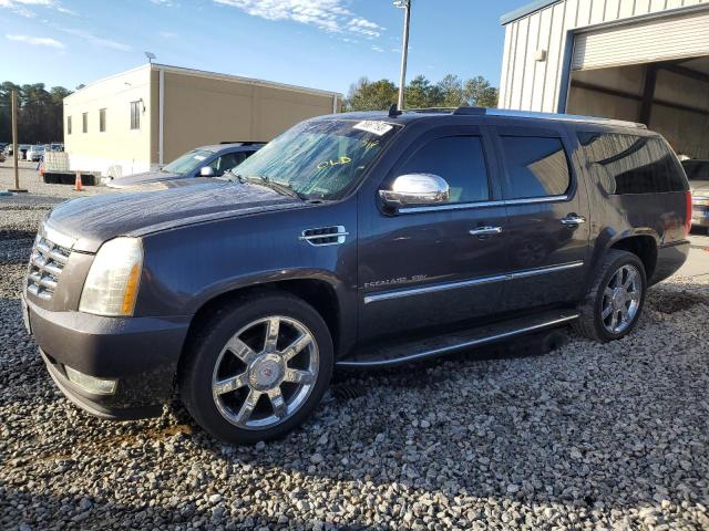 CADILLAC ESCALADE 2010 1gyukhef5ar159630