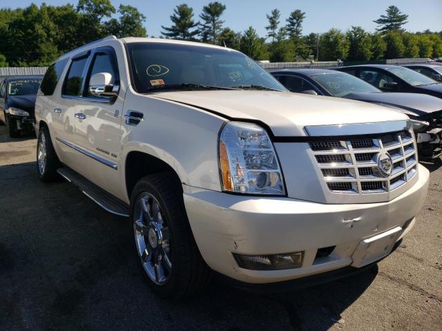 CADILLAC ESCALADE E 2010 1gyukhef5ar289407