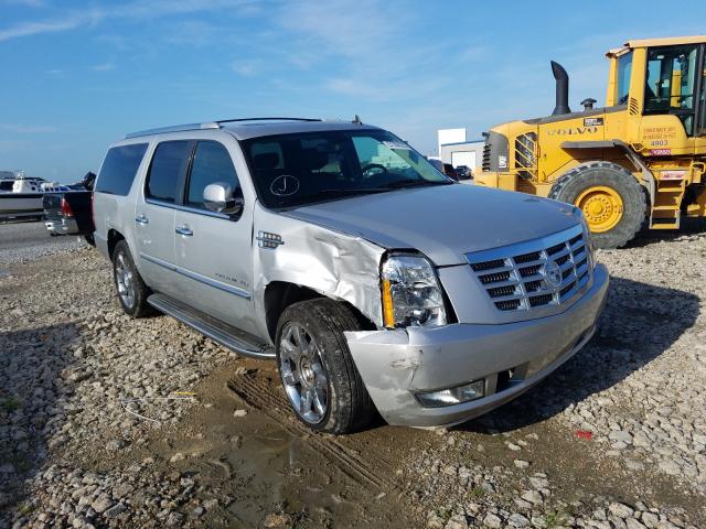 CADILLAC ESCALADE E 2010 1gyukhef7ar225837