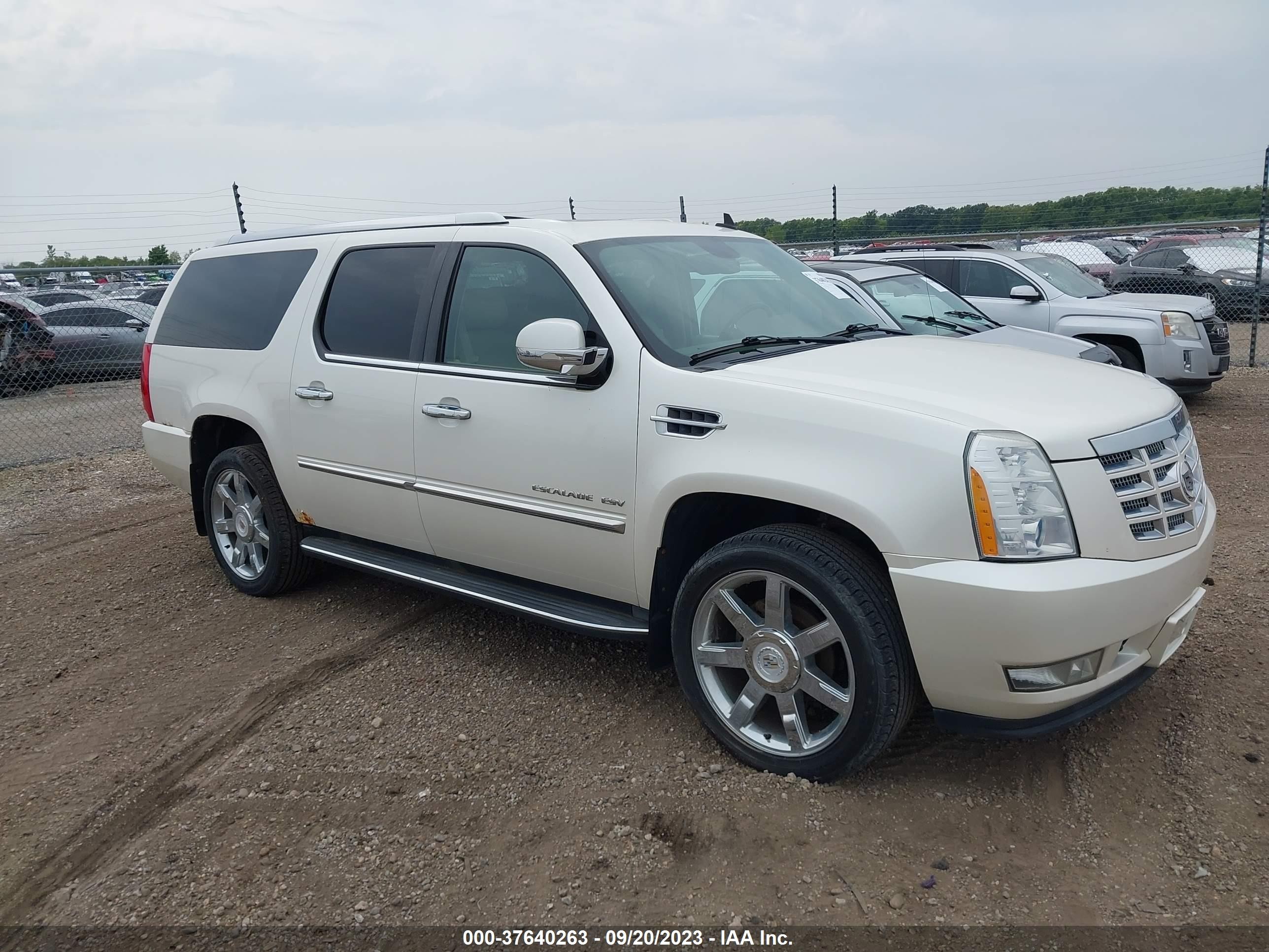 CADILLAC ESCALADE 2010 1gyukhef8ar243750