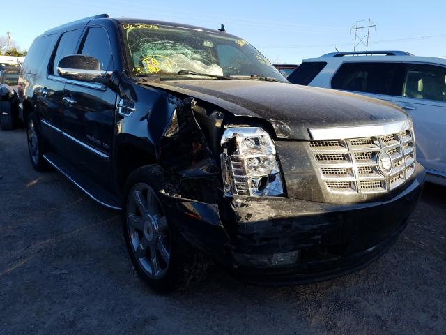 CADILLAC ESCALADE 2010 1gyukhefxar267578