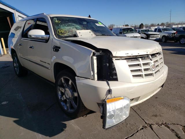 CADILLAC ESCALADE E 2010 1gyukjef0ar116790