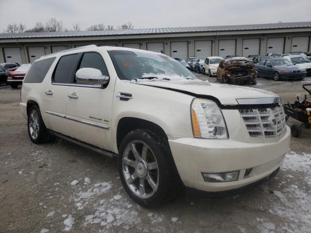 CADILLAC ESCALADE E 2010 1gyukjef0ar149658