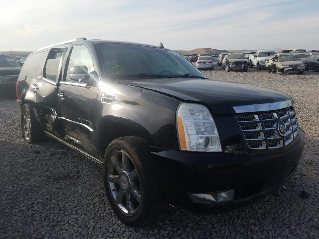 CADILLAC ESCALADE E 2010 1gyukjef0ar183342