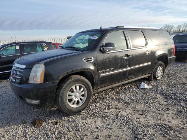 CADILLAC ESCALADE 2010 1gyukjef3ar120719