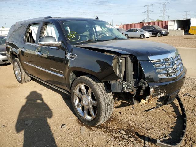 CADILLAC ESCALADE E 2010 1gyukjef3ar155924