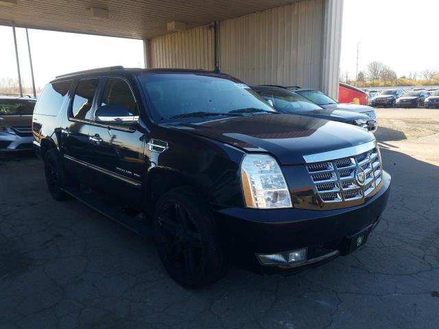 CADILLAC ESCALADE E 2010 1gyukjef3ar195775