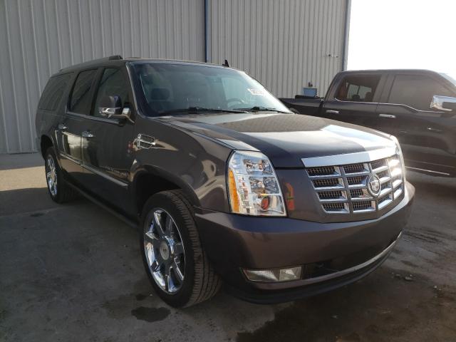 CADILLAC ESCALADE E 2010 1gyukjef3ar278168