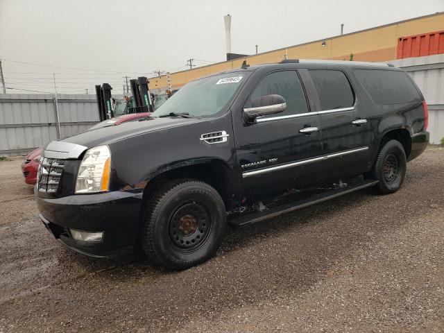 CADILLAC ESCALADE E 2010 1gyukjef4ar205990