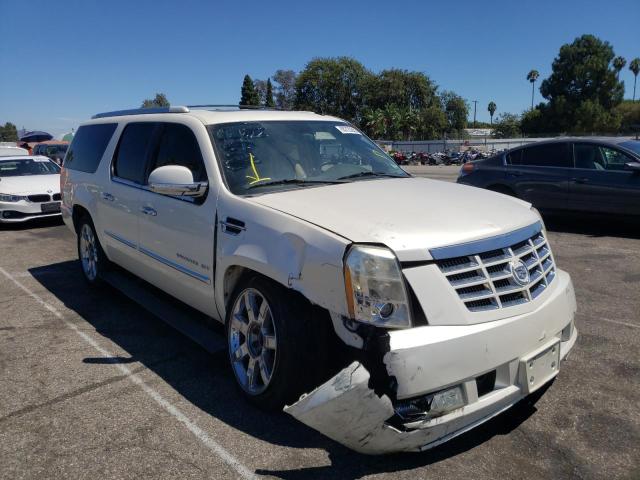 CADILLAC ESCALADE E 2010 1gyukjef5ar158646