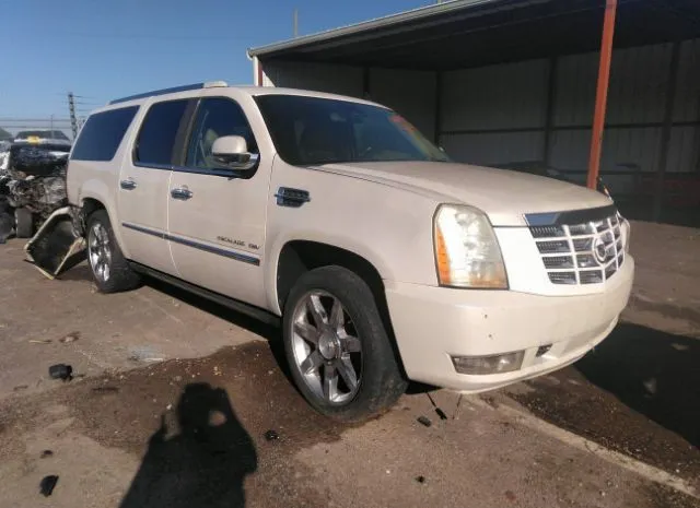 CADILLAC ESCALADE ESV 2010 1gyukjef6ar206395