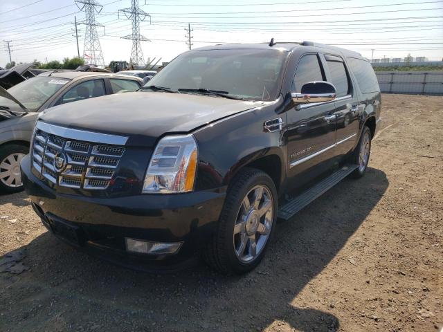 CADILLAC ESCALADE E 2010 1gyukjef7ar182611