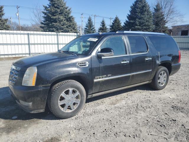 CADILLAC ESCALADE 2010 1gyukjef7ar183418