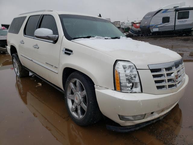 CADILLAC ESCALADE E 2010 1gyukjef7ar254813