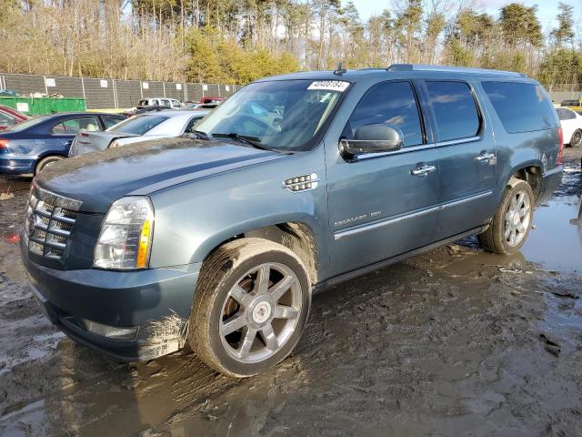 CADILLAC ESCALADE 2010 1gyukjef8ar255758