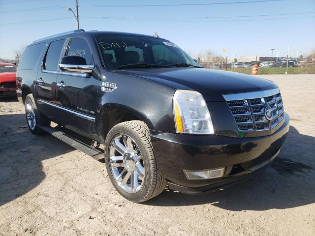 CADILLAC ESCALADE E 2010 1gyukjef9ar113256