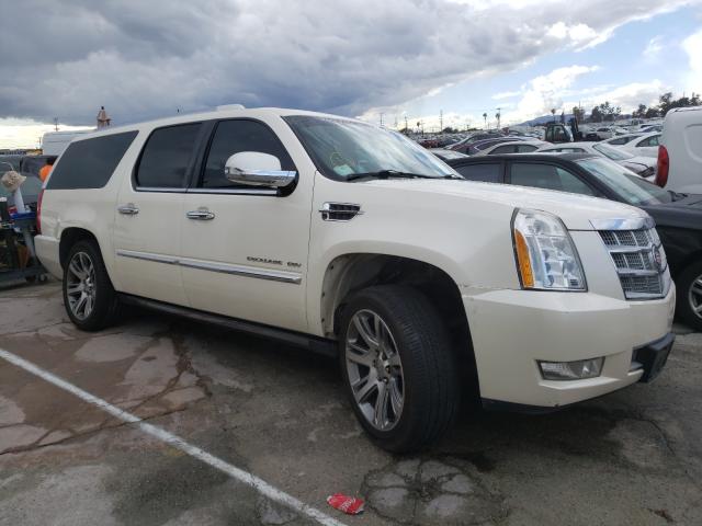 CADILLAC ESCALADE E 2010 1gyukkef1ar113774