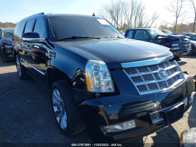 CADILLAC ESCALADE ESV 2010 1gyukkef8ar193798