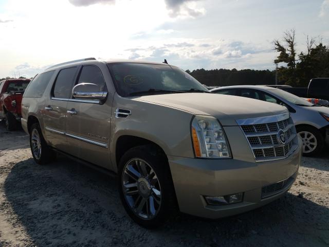 CADILLAC ESCALADE E 2010 1gyukkefxar114986