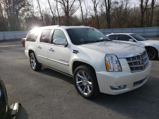 CADILLAC ESCALADE E 2010 1gyukkefxar240278