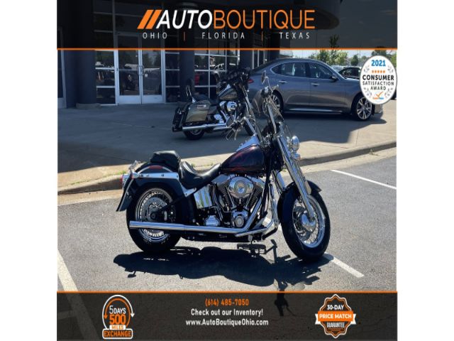 HARLEY-DAVIDSON FLSTN 2010 1hd1jd518ab023766