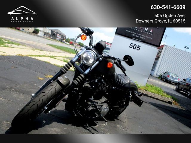 HARLEY-DAVIDSON XL883 2019 1hd4le238kc428931