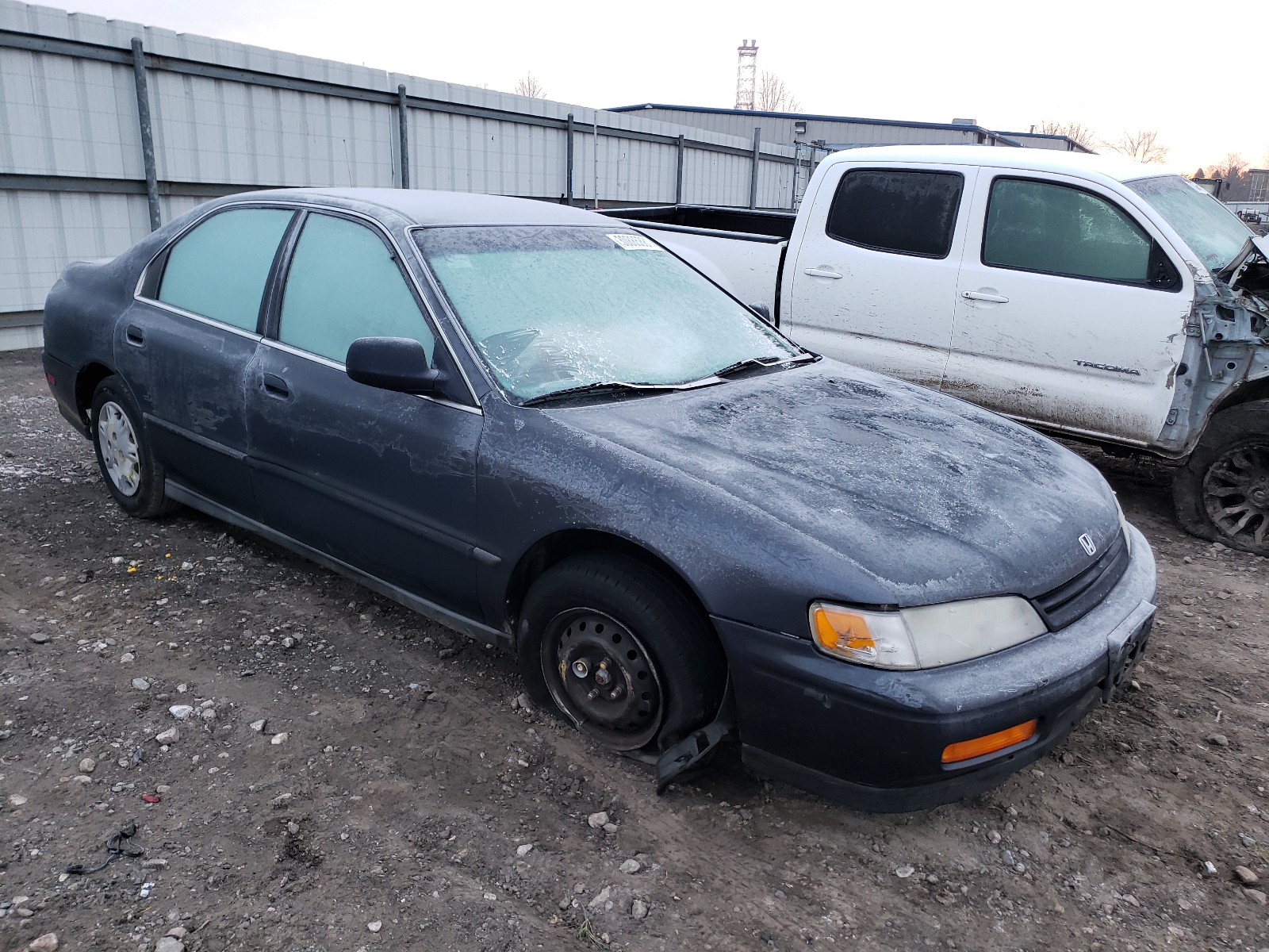 HONDA ACCORD LX 1995 1hgcd5532sa073418