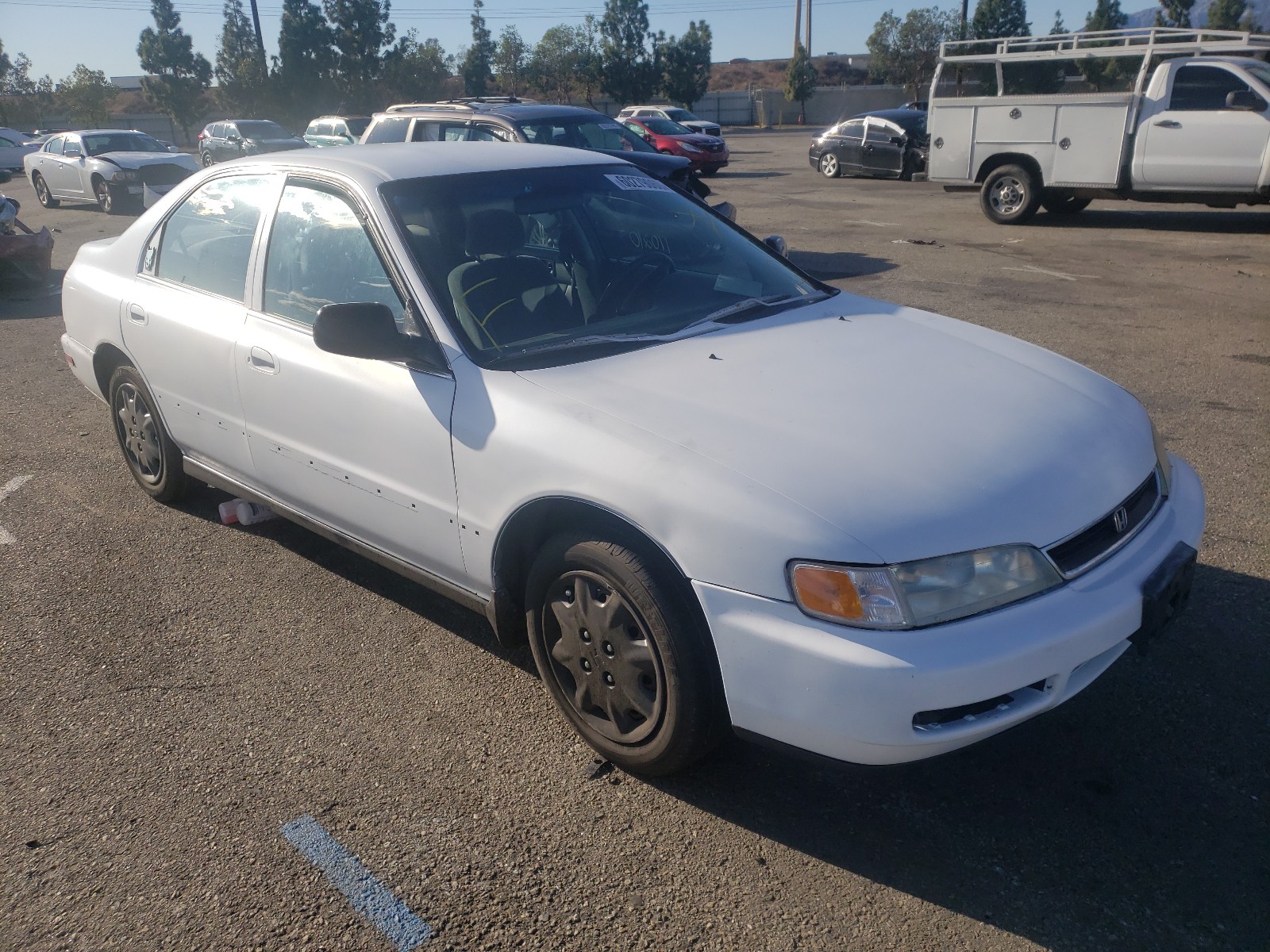 HONDA ACCORD LX 1997 1hgcd5630va014919